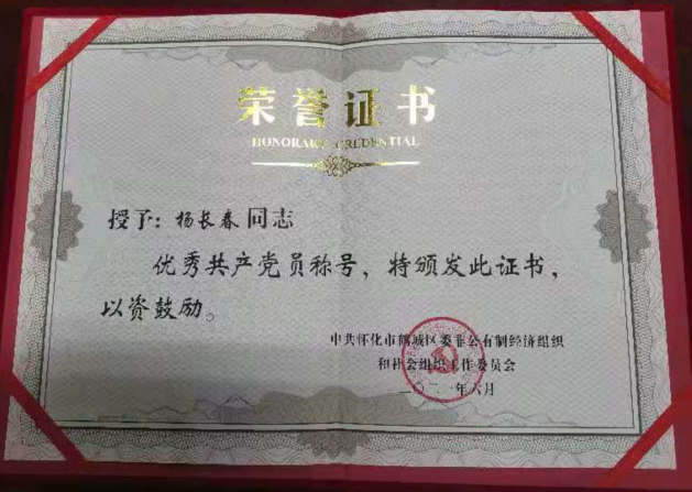 背篓人家党支部 杨长春